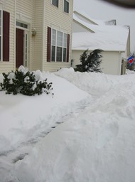 101-0173_IMG_1