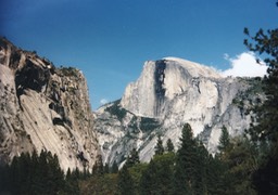 1984-05-D008