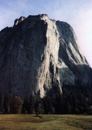 1984-05-D013