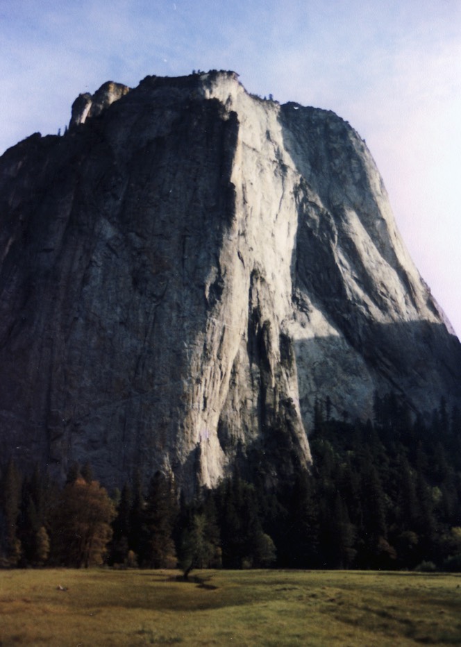 1984-05-D013