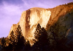 1984-05-D016