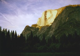 1984-05-D017