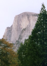 1984-05-D025