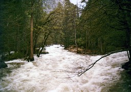 1984-05-D033