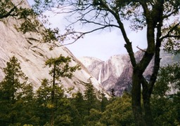 1984-05-D035