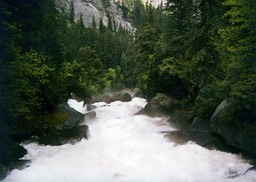1984-05-D042