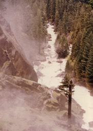 1984-05-D047