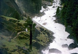 1984-05-D050