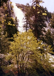 1984-05-D056
