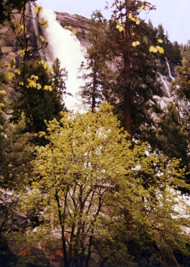 1984-05-D056