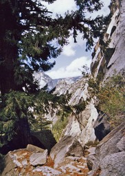 1984-05-D063