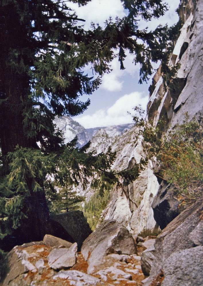 1984-05-D063