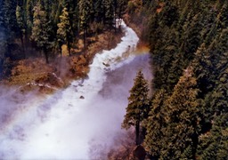1984-05-D064