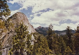 1984-05-D067