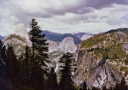 1984-05-D081