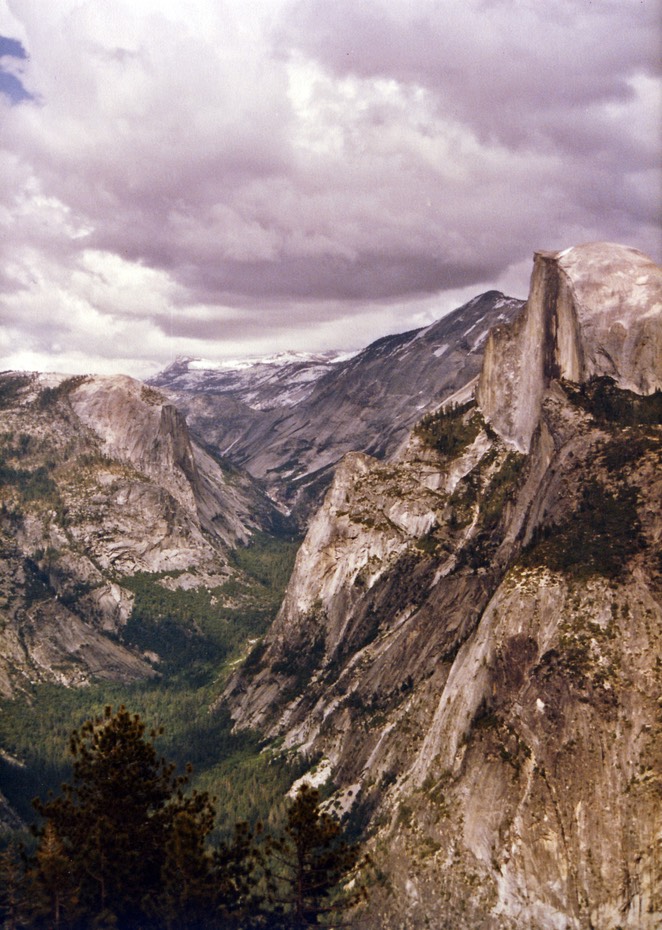 1984-05-D088