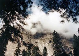 1984-05-D094