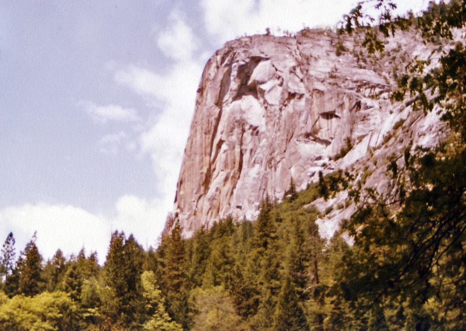 1984-05-D125