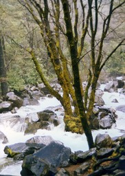1984-05-D137