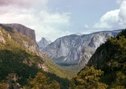 1984-05-D141