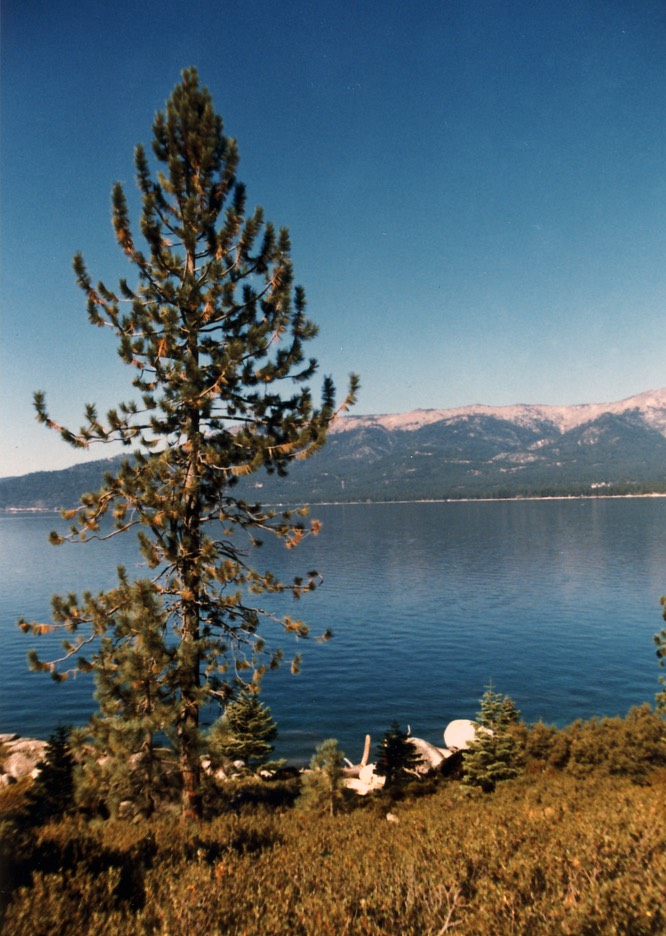 1984-10-A08