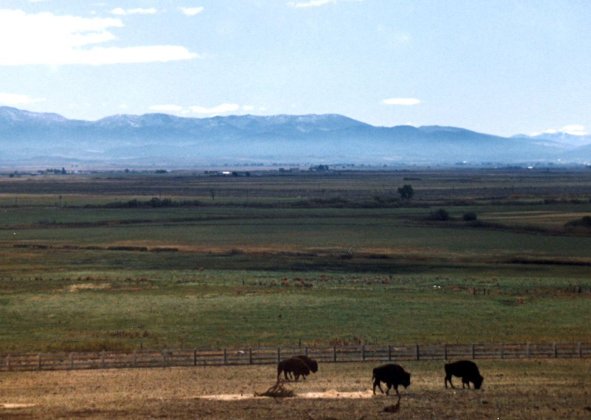 1984-10-B01