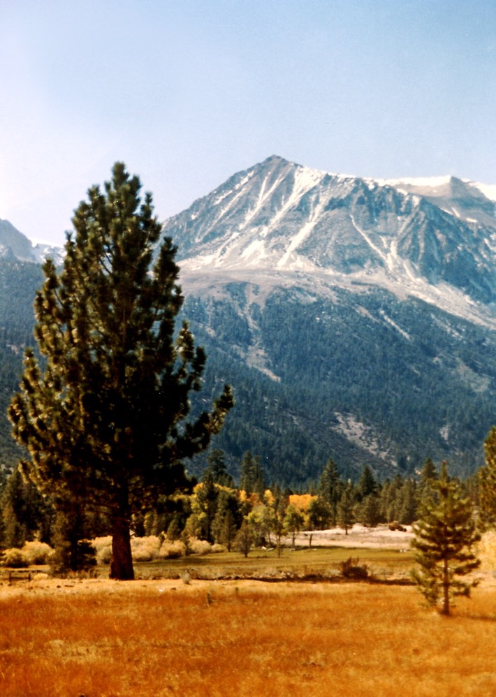 1984-10-B14