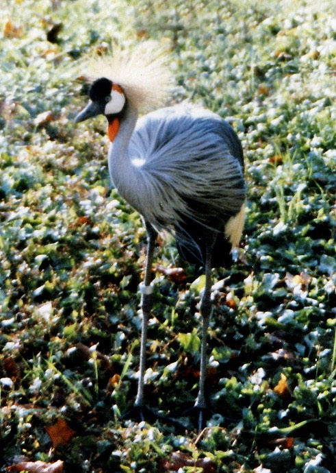 1984-10-C01