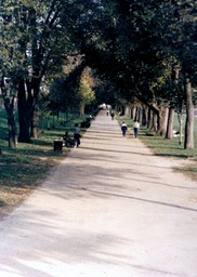 1985-10-B06