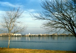 1986-03-A03