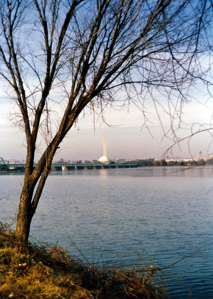 1986-03-A05