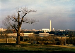 1986-03-A17