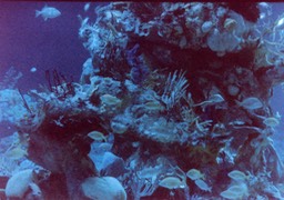 1986-05-A14