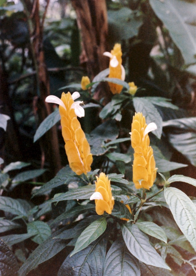 1986-05-B01