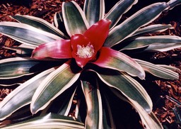 1986-05-B02