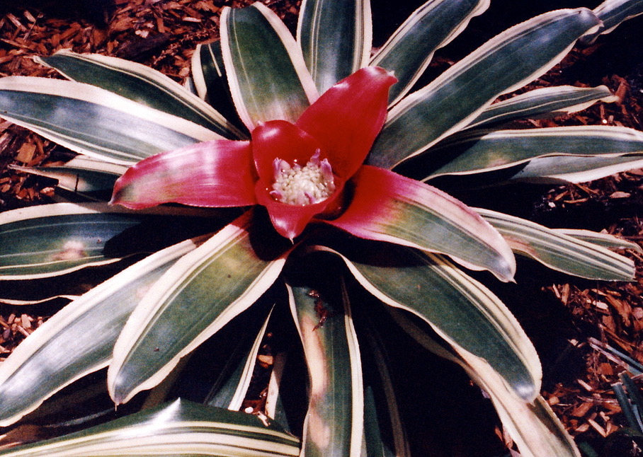 1986-05-B02
