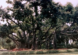 1986-05-B07