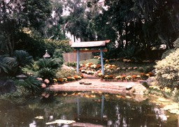 1986-05-B09