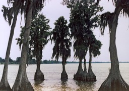 1986-05-B12