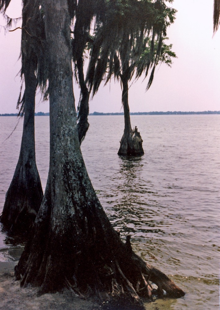 1986-05-B13