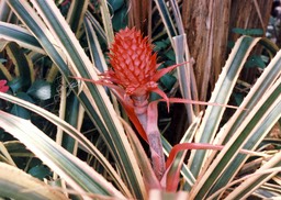 1986-05-B15
