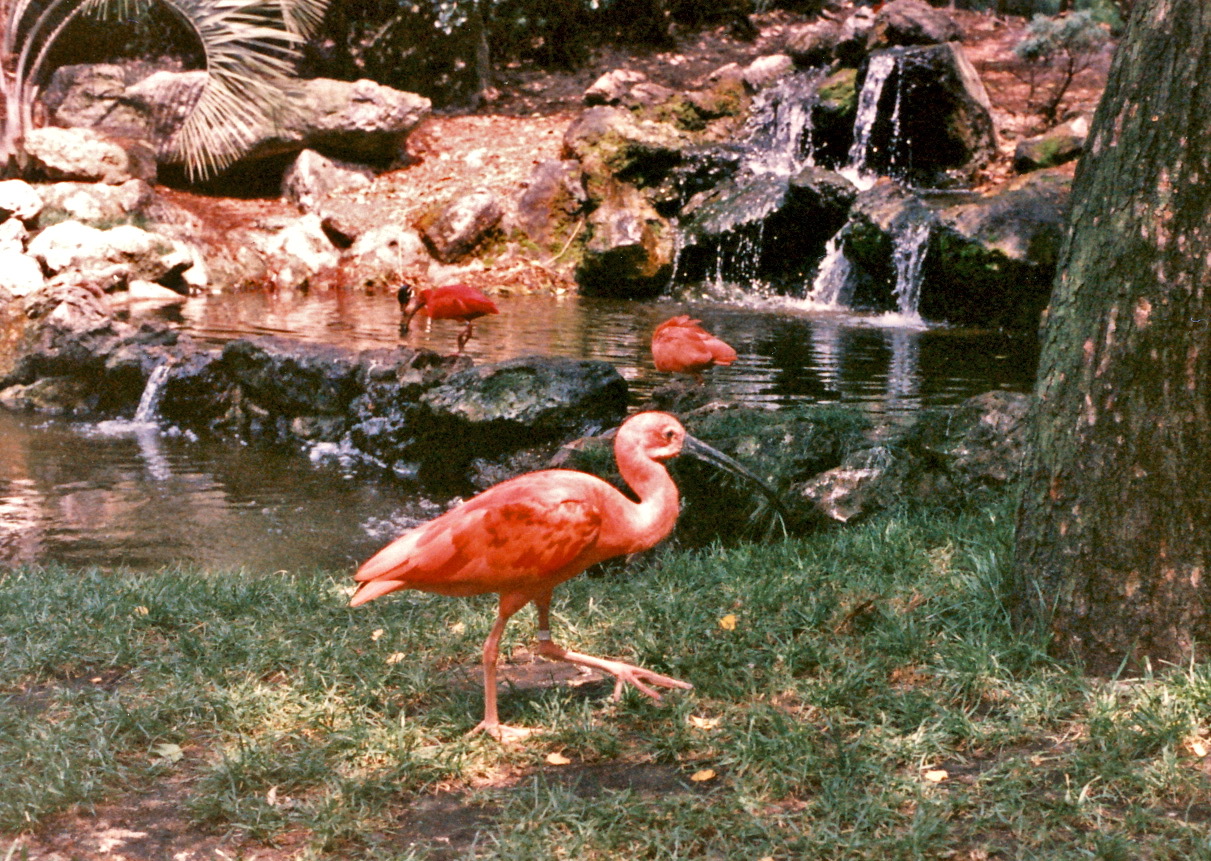 1986-05-B19