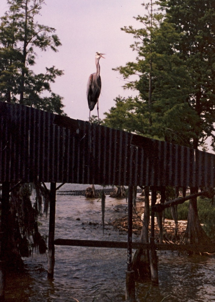 1986-05-B23