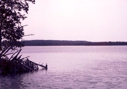 1986-05-C23