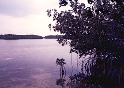 1986-05-C24