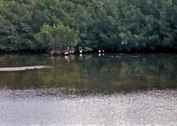 1986-05-C25
