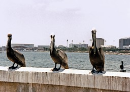 1986-05-D08