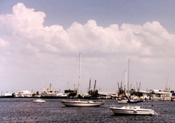 1986-05-D11