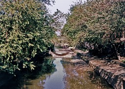 1986-05-E08