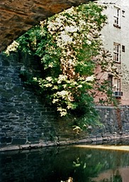 1986-05-E11